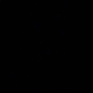 Meet your Posher, Meagan